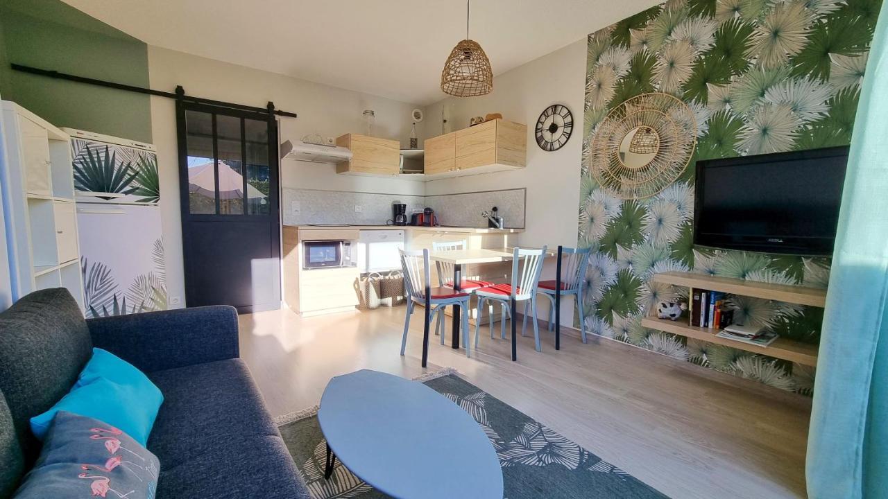 Giens 500M Des Plages De Sable -Lesclesdenicole Apartment Hyères